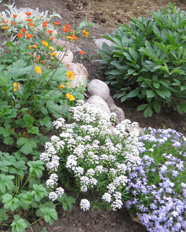 Fachberaratung Gartenbau